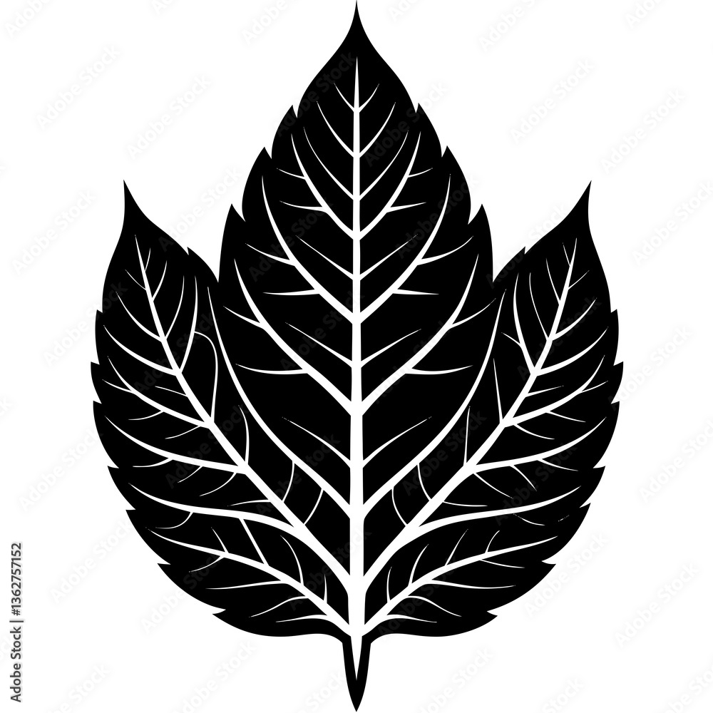 Fototapeta premium Leaf Silhouette Vector