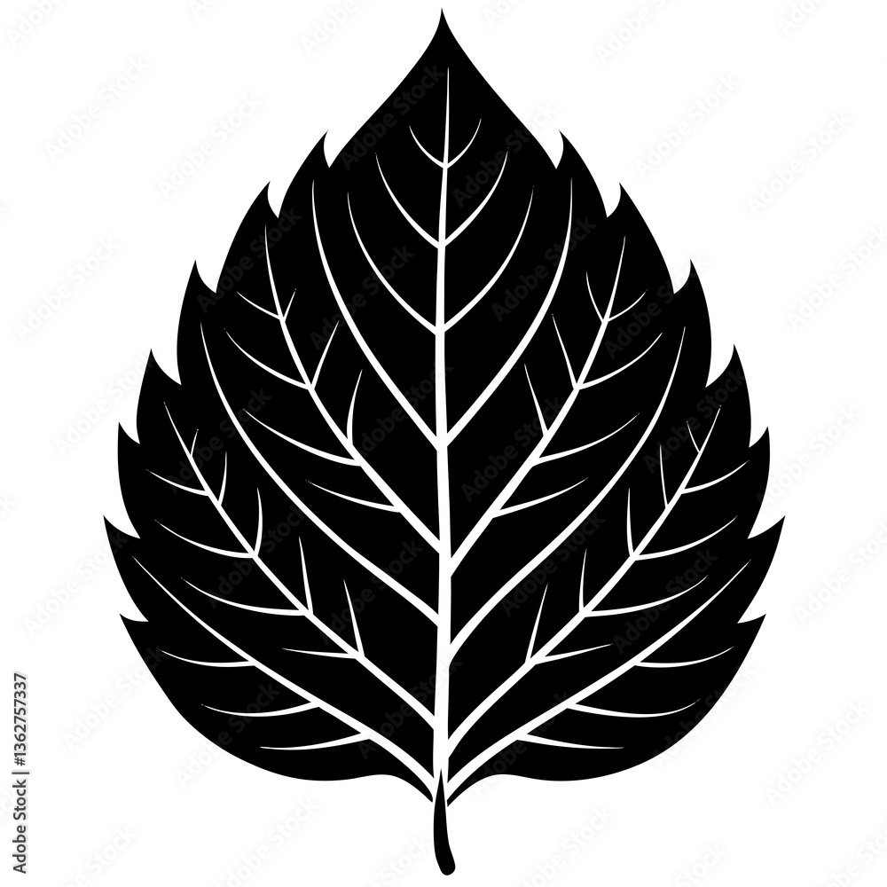Leaf Silhouette Vector