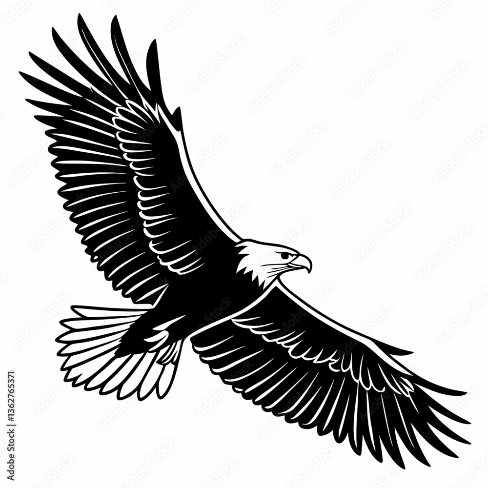 Obraz premium flying eagle silhouette