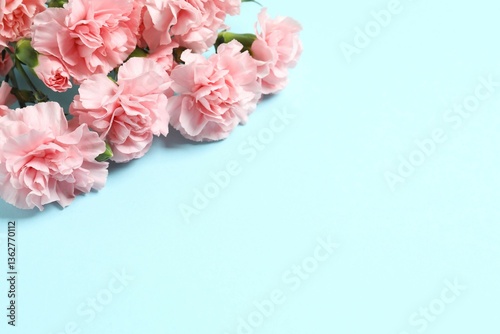 Wallpaper Mural Beautiful bouquet of pink carnations on a colored background Torontodigital.ca