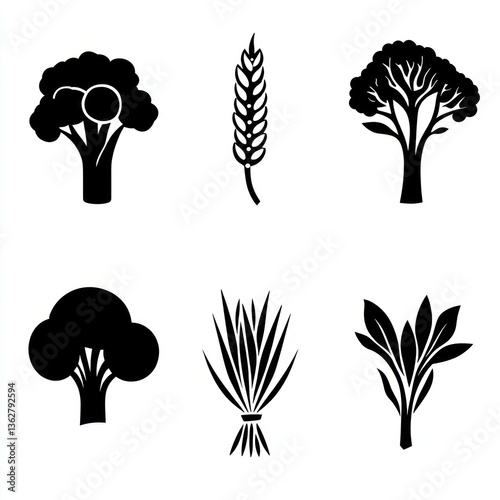 Healthy food icons broccoli, wheat, agave; white background; infographic use