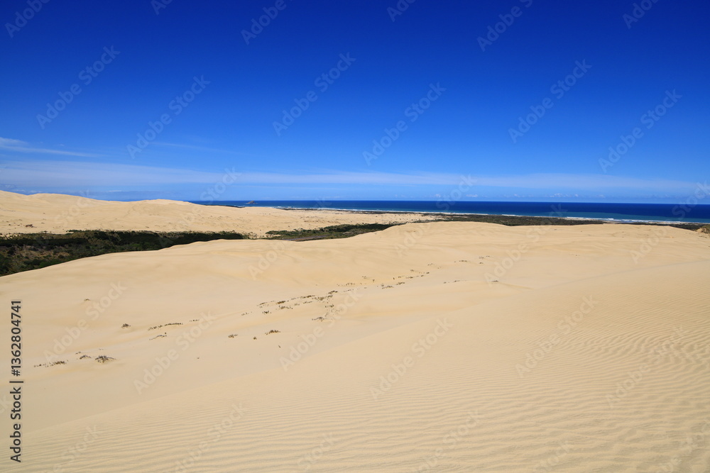 Te Paki Sand Dunes, also called the Giant Sand Dunes, are a collection of sand dunes located on the Northland Peninsula of New Zealand Te Paki Sand Dunes, also called the Giant Sand Dunes, are a collection of sand dunes located on the Northland Peninsula of New Zealand