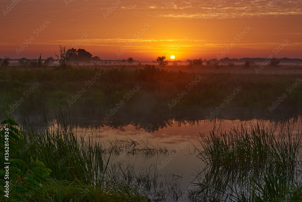 Fototapeta premium Beautiful river Desna in Ukraine