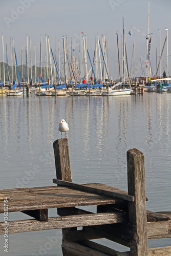 a jetty on Lake Ammersee in Bavaria with sailing boats and a seagull