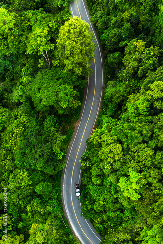 Road in the middle of the forest , road curve construction up to mountain, Rainforest ecosystem and healthy environment concept.