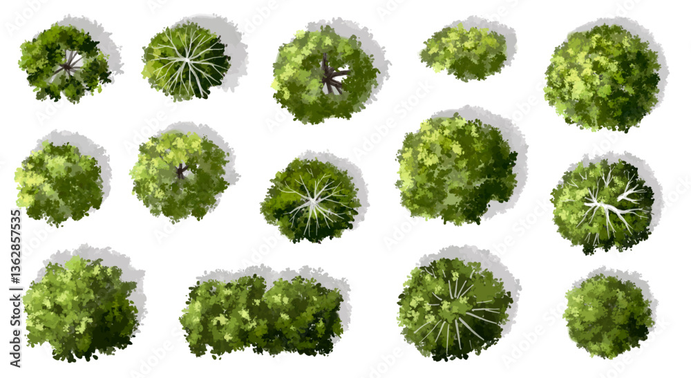 Vector set of Top view green tree for outdoor plan or map and architecture drawing, elements for environment and garden ,botanical elements ,Blooming flowers in spring,tropical plants element