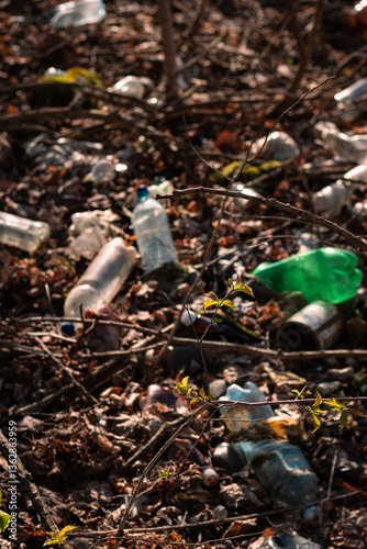 garbage in the forest among fallen leaves. natural landfill. garbage in nature. clean planet.