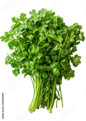 bunch of parsley
