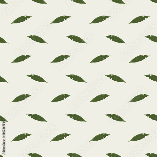 Seamless pattern with dry herbarium leaves on white background. Cottagecore foliage wallpaper. Boho botanical texture. Ecological and natural design.