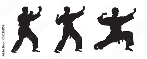 Karate fighter in kimono, vector silhouette illustration.