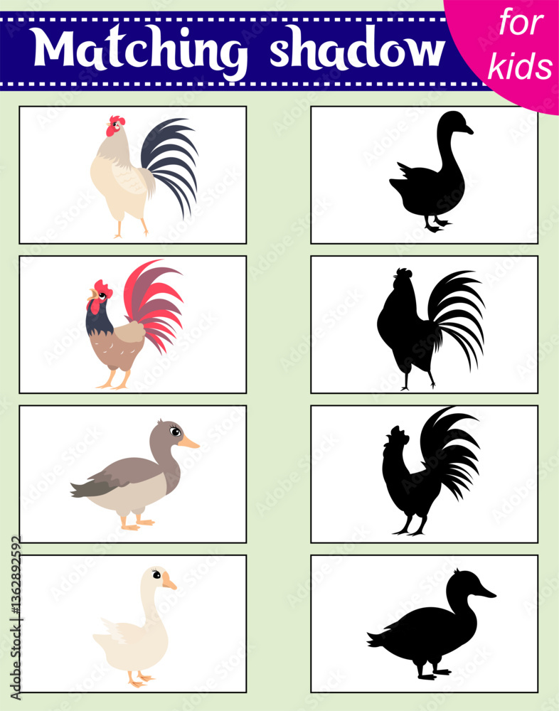 Obraz premium Brainteaser for kids. Educational cards. Farm animals. Rooster and goose. Find the correct shadow. Activity for preschoolers and toddlers.