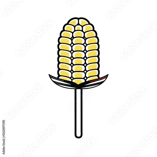 corn cobs isolated on white