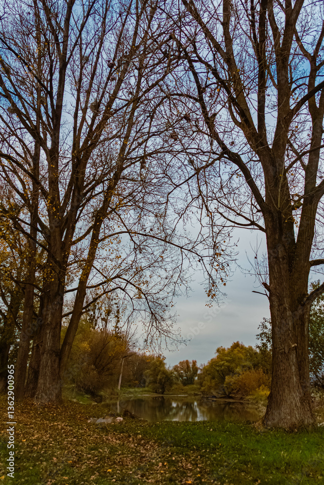 Autumn or indian summer view near Thundorf, Osterhofen, Deggendorf, Bavaria, Germany Autumn or indian summer view near Thundorf, Osterhofen, Deggendorf, Bavaria, Germany