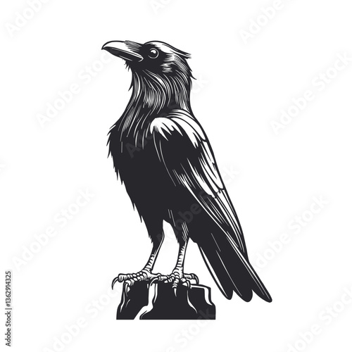 Raven illustrated in black and white, standing on a rock, detailed feathers and sharp beak
