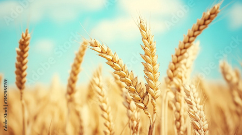 happy baisakhi 