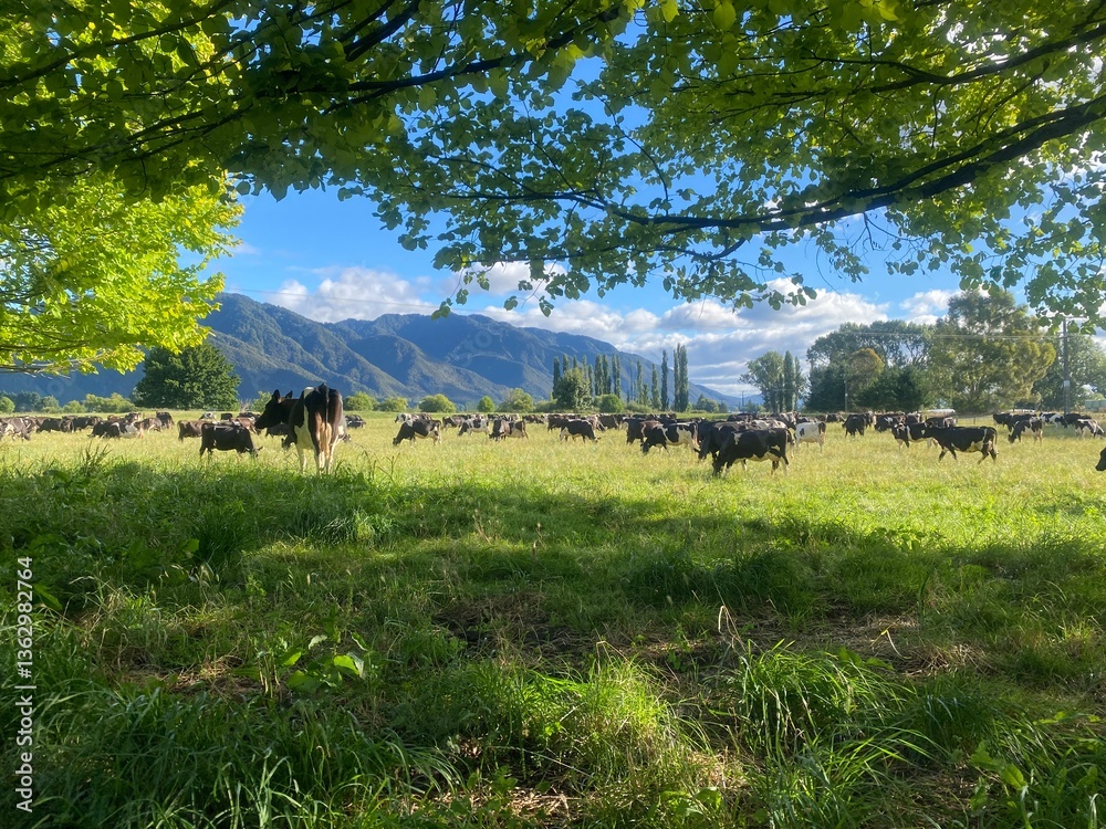 landscape with trees and cows