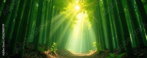 Sunbeams pierce dense bamboo grove, creating ethereal light shafts , wallpaper, zen