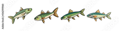 Set of Charming Bluntnose Minnow in Aquatic Illustration