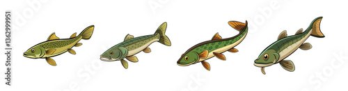 Set of Vivid Burbot Fish Colorful Artistic Representation