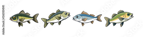 Set of European Sea Bass with Vibrant Realistic Colors