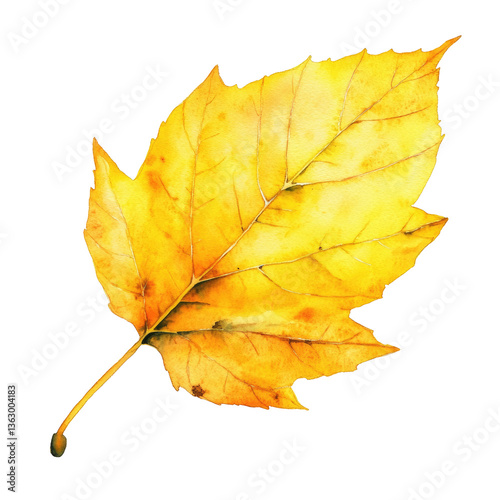 Vibrant autumn leaf illustration