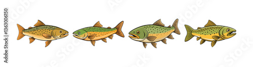 Set of Unique Gila Trout Illustration Featuring Realistic Colors