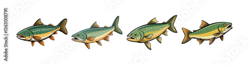 Set of Realistic Lake Trout Colorful Fish Illustration