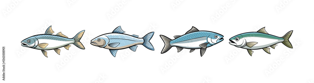 Obraz premium Set of Realistic Lake Whitefish Colorful Illustration