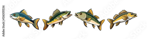 Set of  Realistic Walleye Fish Illustration with Vibrant Features