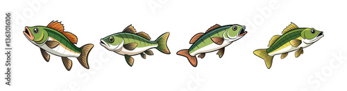 Set of  Wavelength Bass Fish Realistic Illustration with Bright Colors
