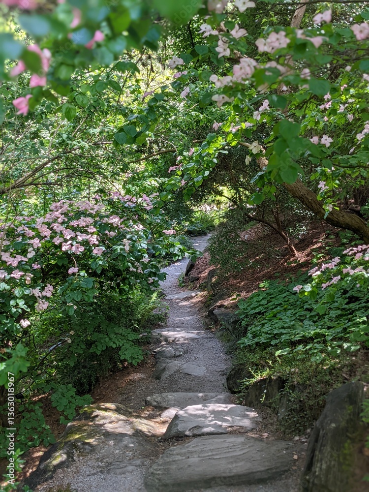 Fototapeta premium Flower Path 