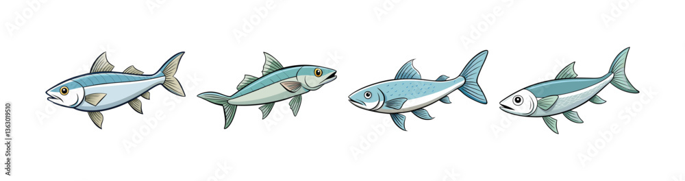Fototapeta premium Set of Realistic Whitehooked Mullet Fish Illustration