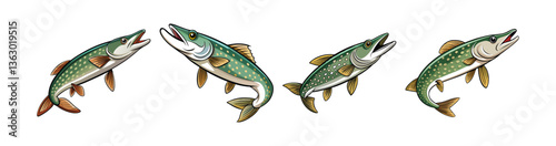 Set of  White-Spotted Pike Fish Realistic Illustration Highlighting Detail