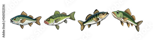 Set of Vivid Winterwhisker Bass Fish Realistic Art