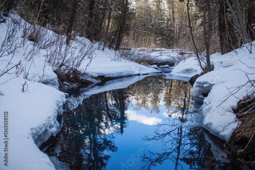 Picturesque Small Creek in Eastern Sierra, California: A Stunning Adventure Through Snow-Capped Mountains and Alpine Forests