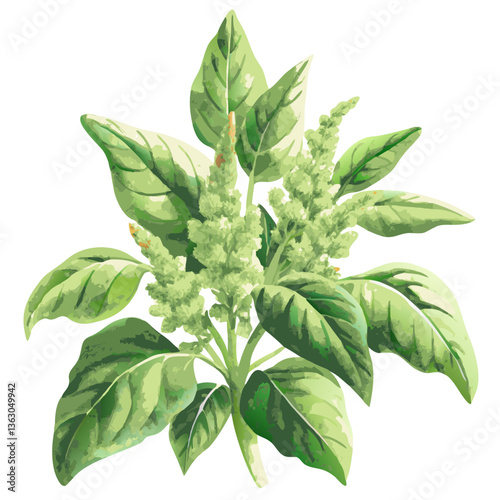 watercolor illustration of a vibrant green plant. The image showcases detailed leaves and stalks