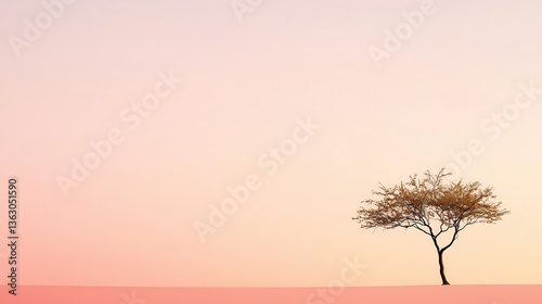 Present a minimalist tree silhouette against a soft sunset, creating a tranquil backdrop with room for inspirational text.