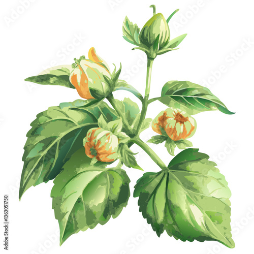 Hibiscus Buds Watercolor Illustration:  A delicate watercolor illustration of a hibiscus branch adorned with several unopened buds in shades of yellow and orange.