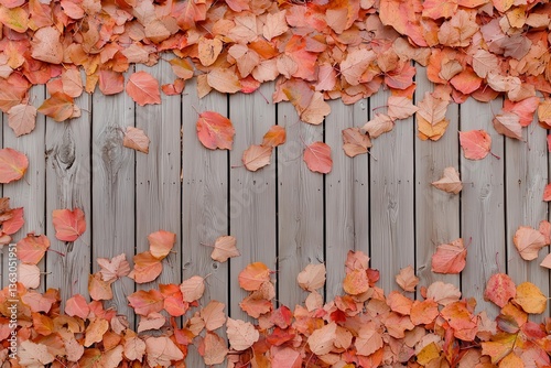Showcase a faded wooden fence bordered by vibrant, scattered leaves, leaving room for text that complements the scene.