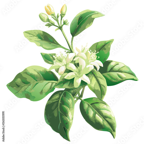 Delicate Blossom: A close-up photograph of a pristine sprig of white flower, displaying its beautiful petals and verdant leaves, with a classic aesthetic.