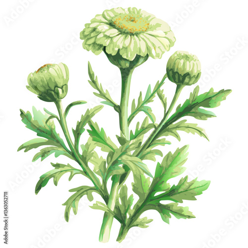 a cluster of charming watercolor freshly picked daisies, ready to make someone's day better, vector illustration