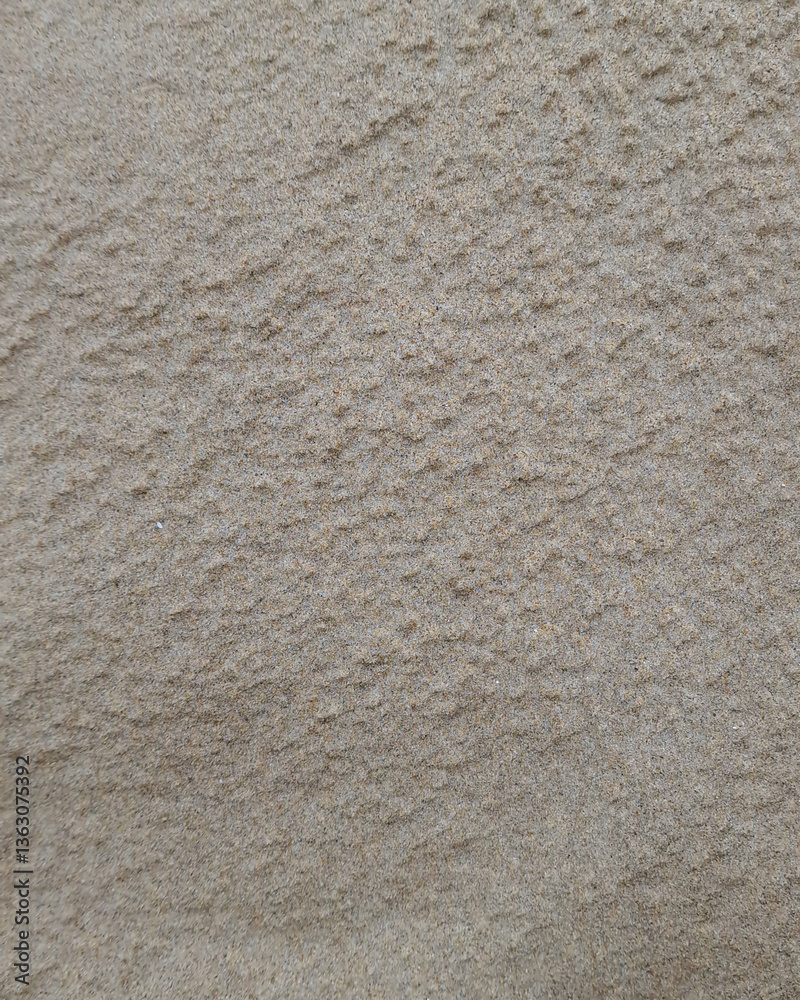 sand texture sand texture