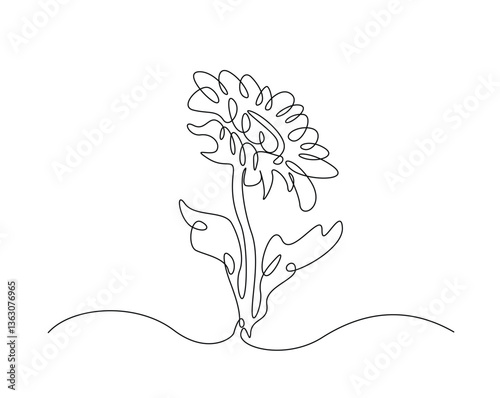 Sunflower outline drawing illustration. one continuous line drawing of sun flower.