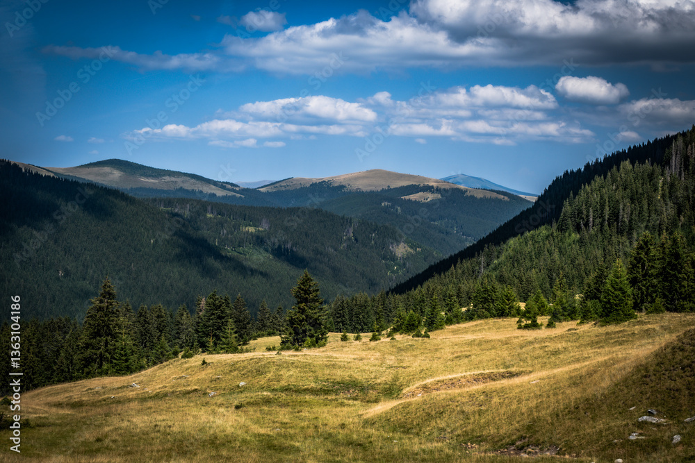 Naklejka premium Rumunia droga transalpina