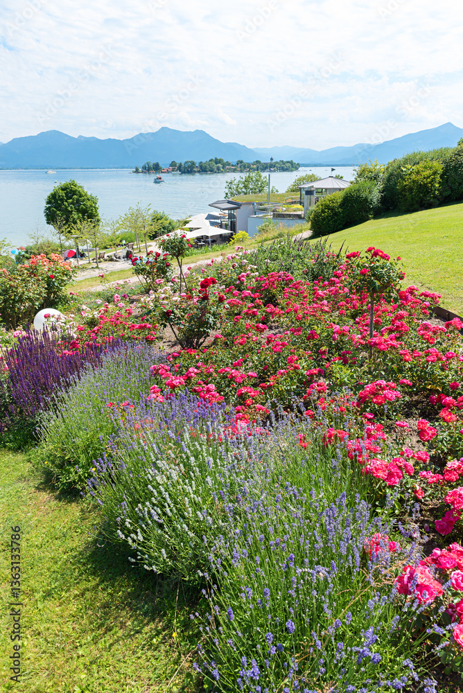 beautiful park landscape with roses and lavender, tourist resort Gstadt, lake Chiemsee