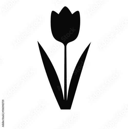black and white tulips