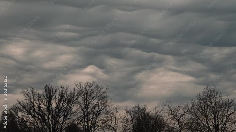 Striking undulatus asperatus clouds roll dramatically across the sky above silhouettes of leafless winter trees, creating a surreal and moody atmosphere. Includes copy space. Striking undulatus asperatus clouds roll dramatically across the sky above silhouettes of leafless winter trees, creating a surreal and moody atmosphere. Includes copy space.