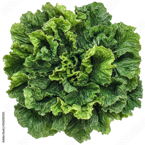 Obraz na płótnie Fresh romaine lettuce ready for salad preparations in a vibrant kitchen setting w salonie