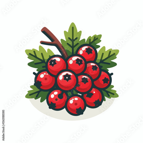 nature, hawthorn, berry, plant, background, red, medicine, organic, fruit, ripe, food, healthy, health, fresh, natural, branch, green, white, season, medical, leaf, closeup, isolated, garden, berries,