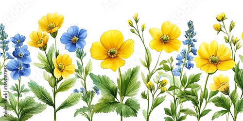 Yellow  Blue Wildflowers Border.